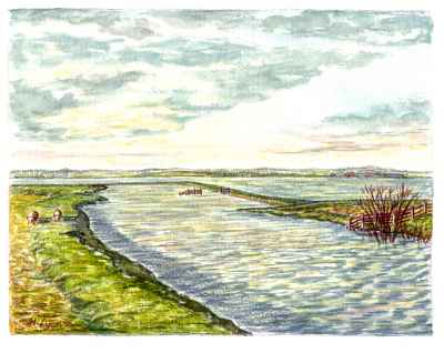 The River Rother